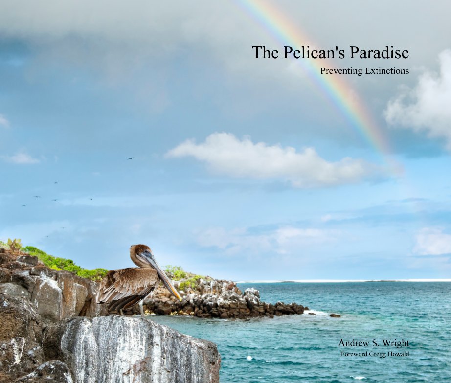 Book cover image of a pelican on a rocky beach and surf with a rainbow.
