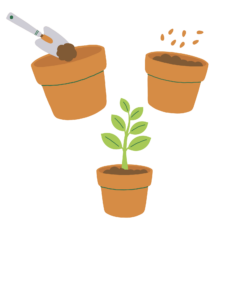 Images depicting a shovel with dirt in an orange clay pot, seeds in an orange clay pot with soil and a green plant growing in an orange clay pot.